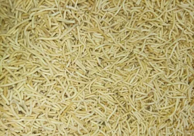 Plain Bhujiya